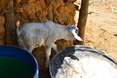 DSC_4985 (Large).JPG